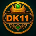 DK11 Game app logo