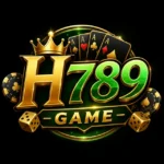 H789 Game APK logo